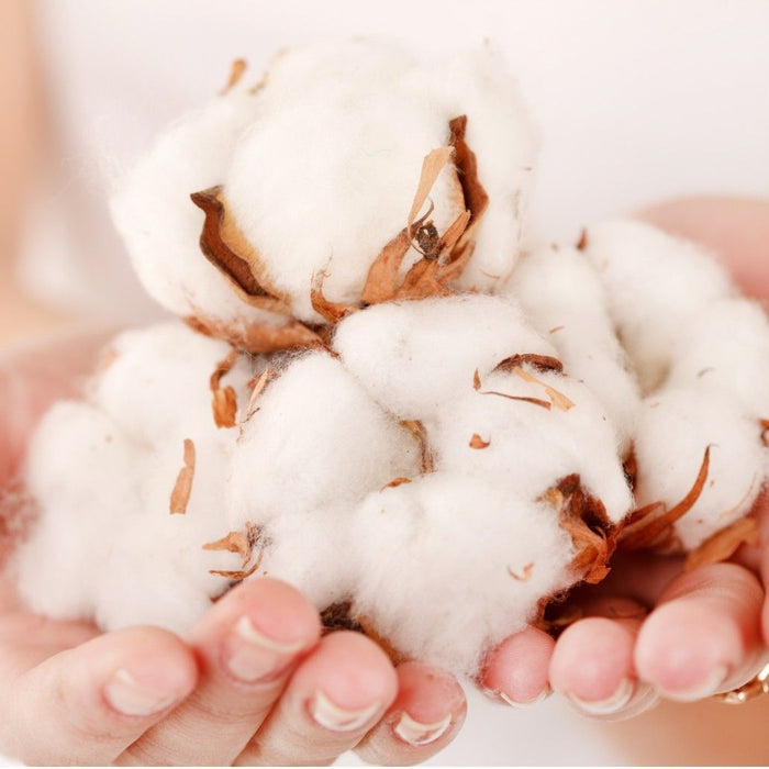 Natur Double Comfort Topmatras